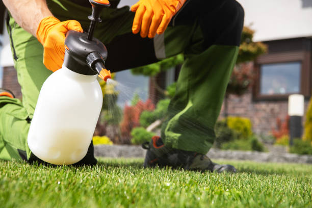 Best Residential Pest Control  in Linden, AL