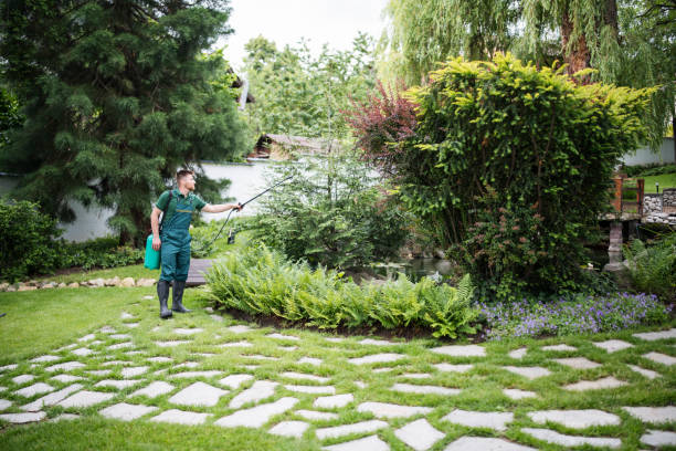 Best Pest Control Treatment  in Linden, AL