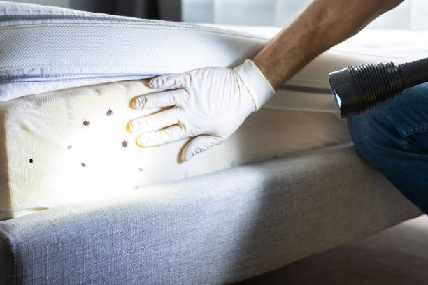 Best Wildlife Control Services  in Linden, AL