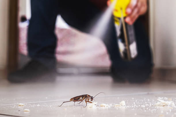 Best Residential Pest Control  in Linden, AL
