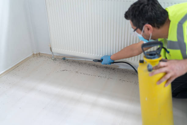 Best Pest Control Near Me  in Linden, AL