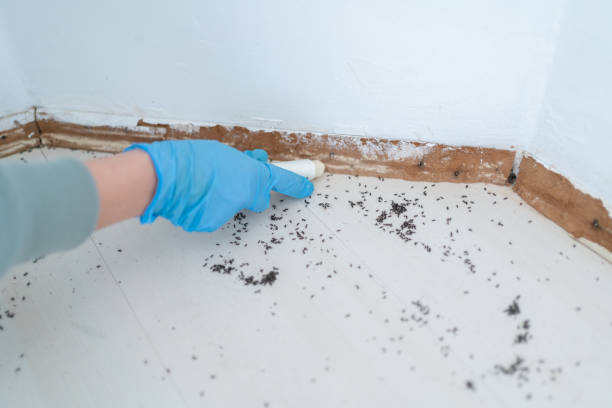 Best Pest Removal Services  in Linden, AL