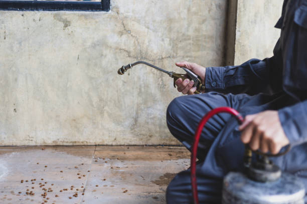 Best Pest Prevention Services  in Linden, AL